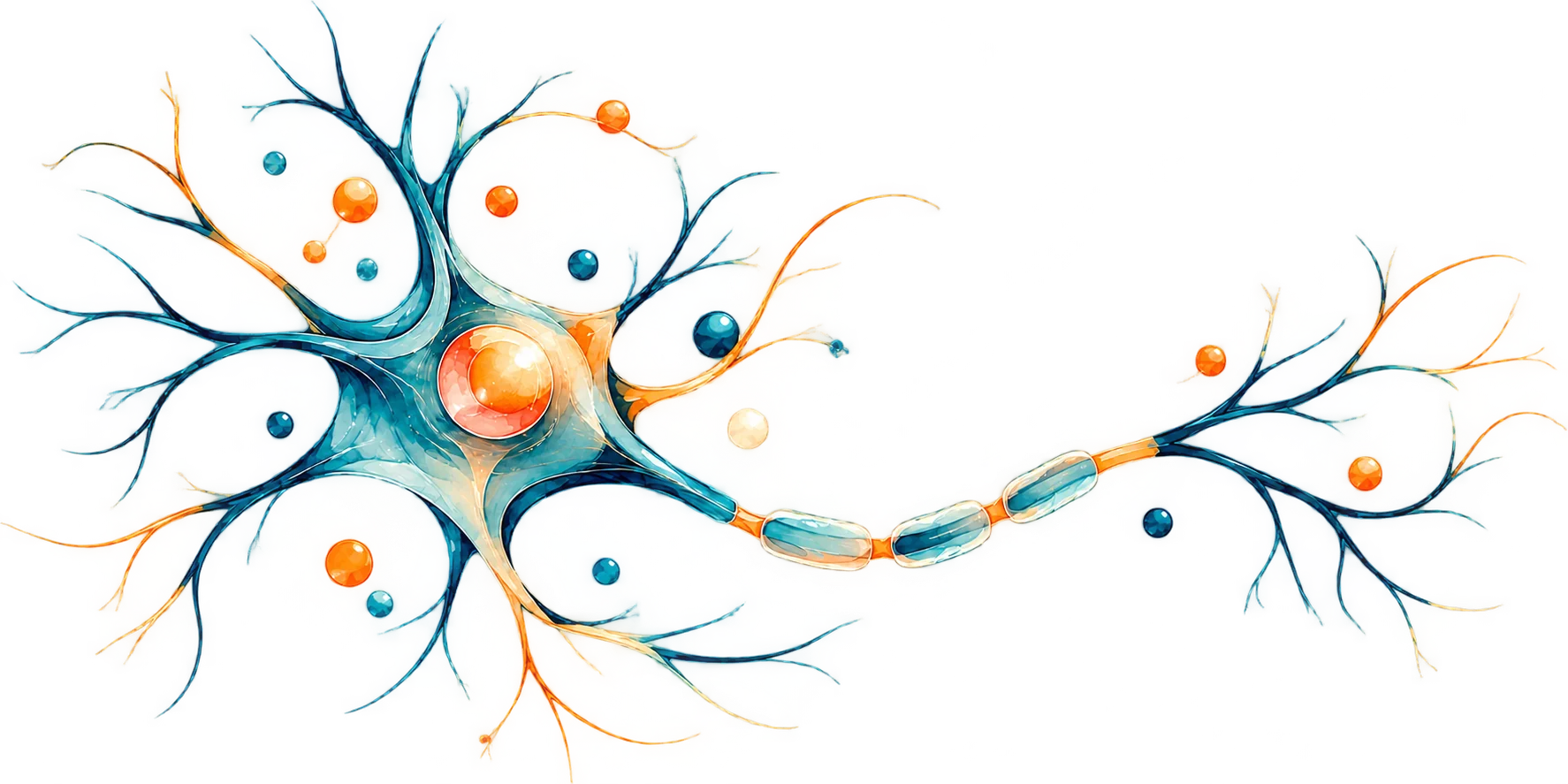 Illustrazione di un neurone con ramificazioni e connessioni nervose nei toni del blu e dell'arancione.